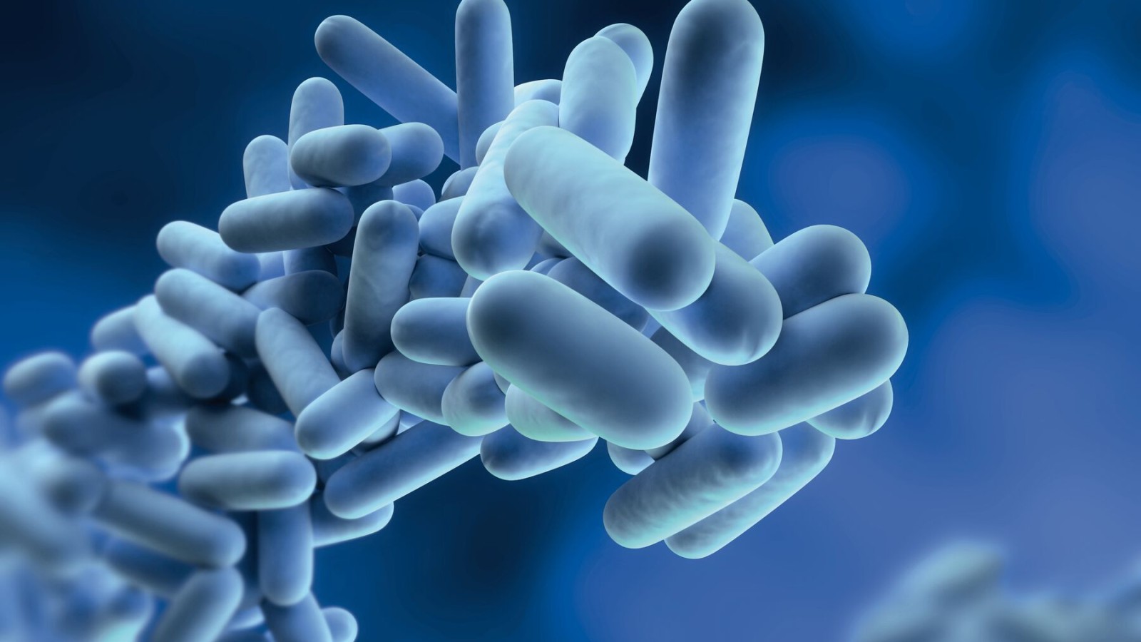 Legionella are bacteria that can multiply in drinking water