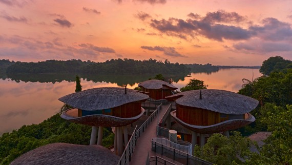 Seed pod-inspired houses at the Mandai Rainforest Resort (© Banyan Tree) Seed pod-inspired houses at the Mandai Rainforest Resort (© Banyan Tree)