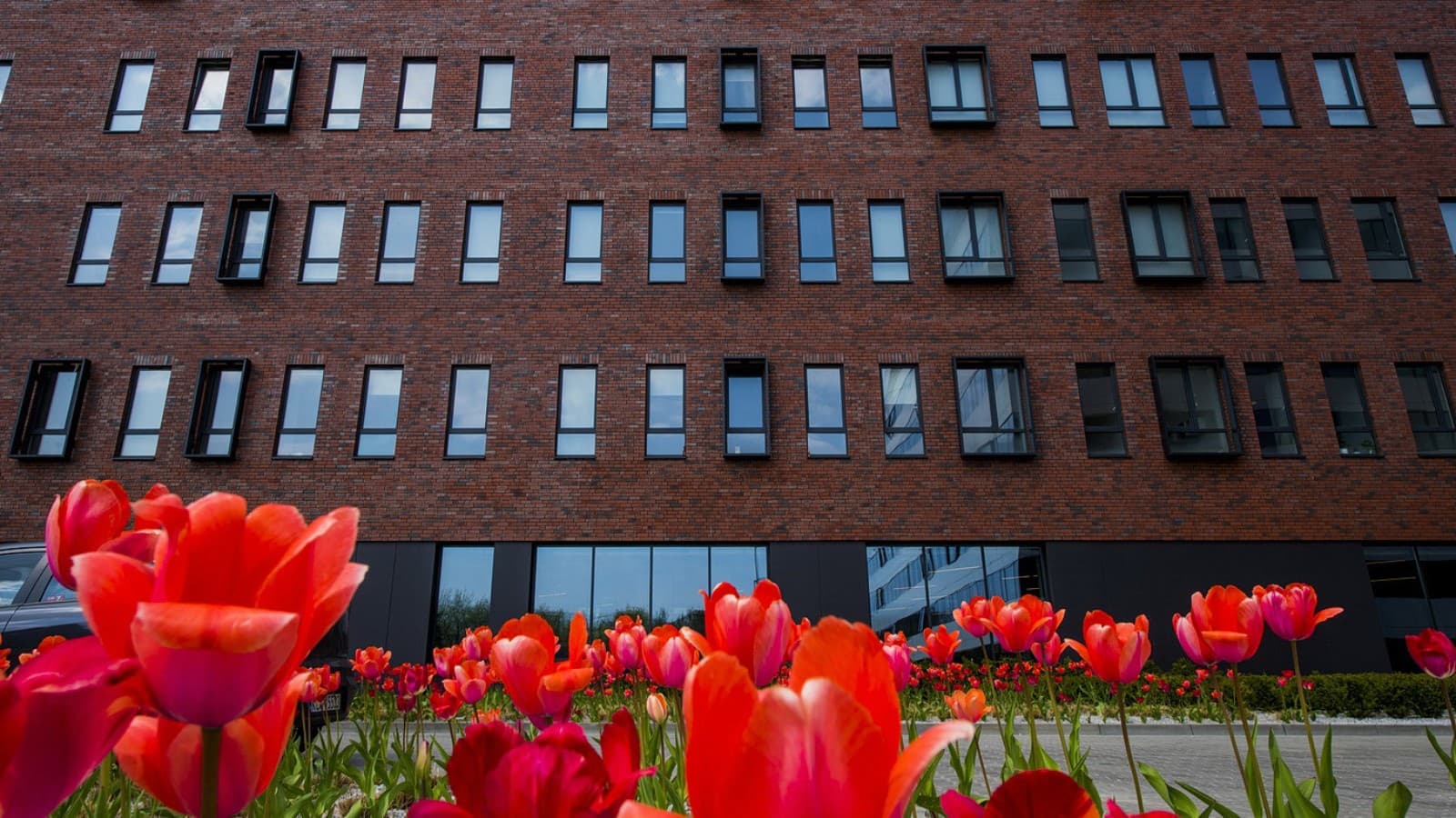 Formerly a factory building, now a student dormitory: LivinnX in Krakow (PL) (© Jaroslaw Kakal/Geberit) Formerly a factory building, now a student dormitory: LivinnX in Krakow (PL) (© Jaroslaw Kakal/Geberit)